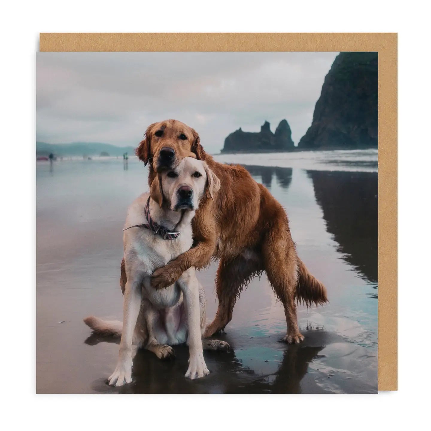 Dog Hug card