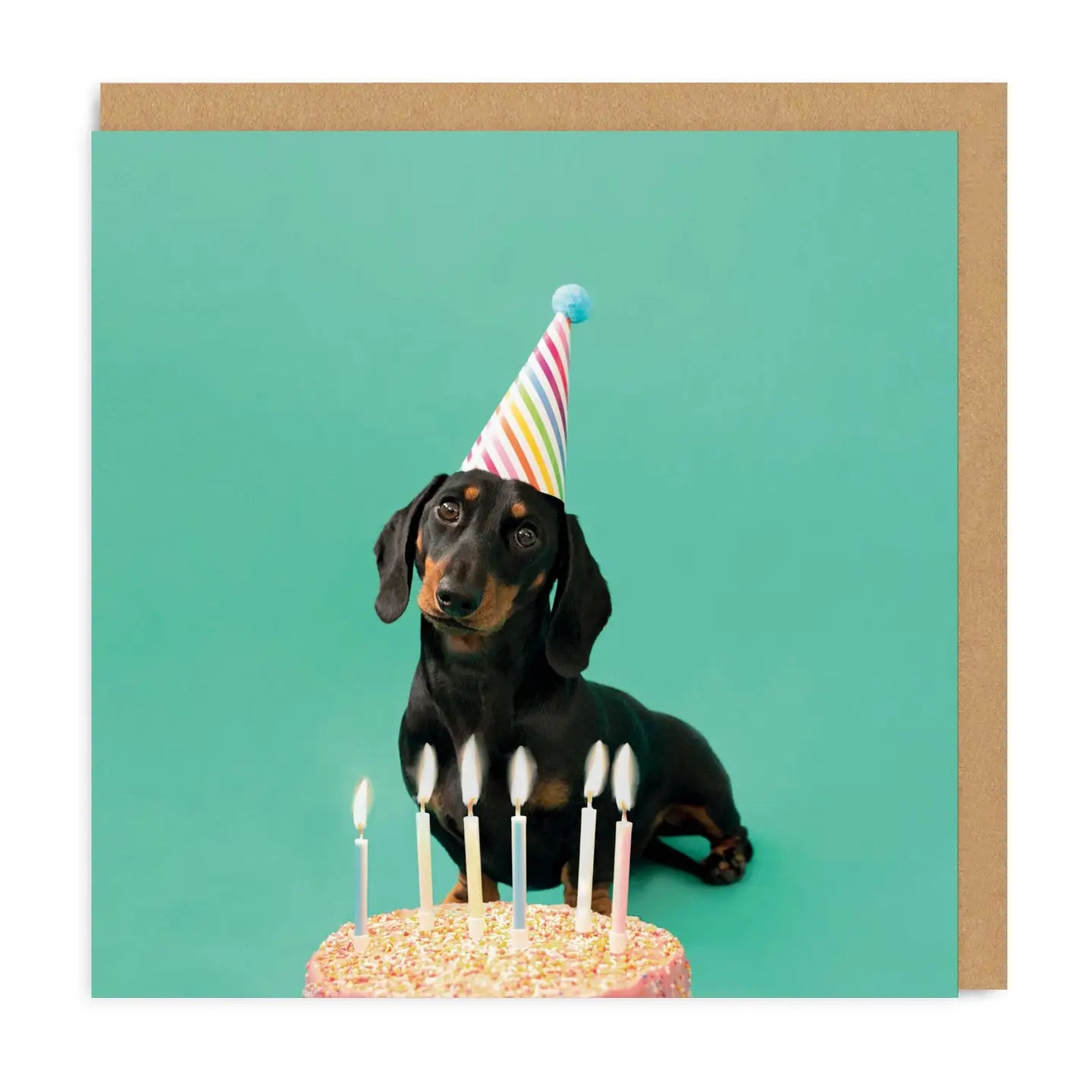 Party Dog card