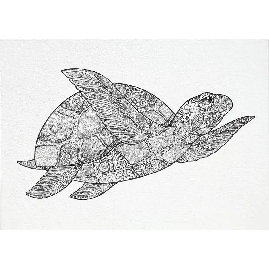 Turtle card