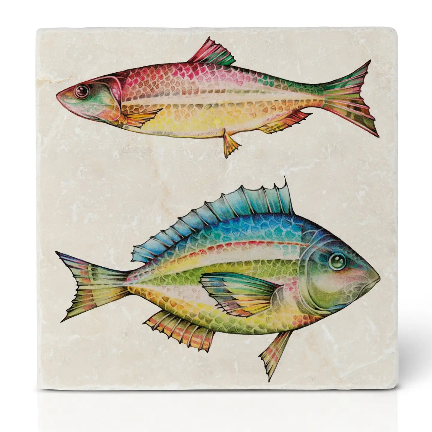 Fish Coaster