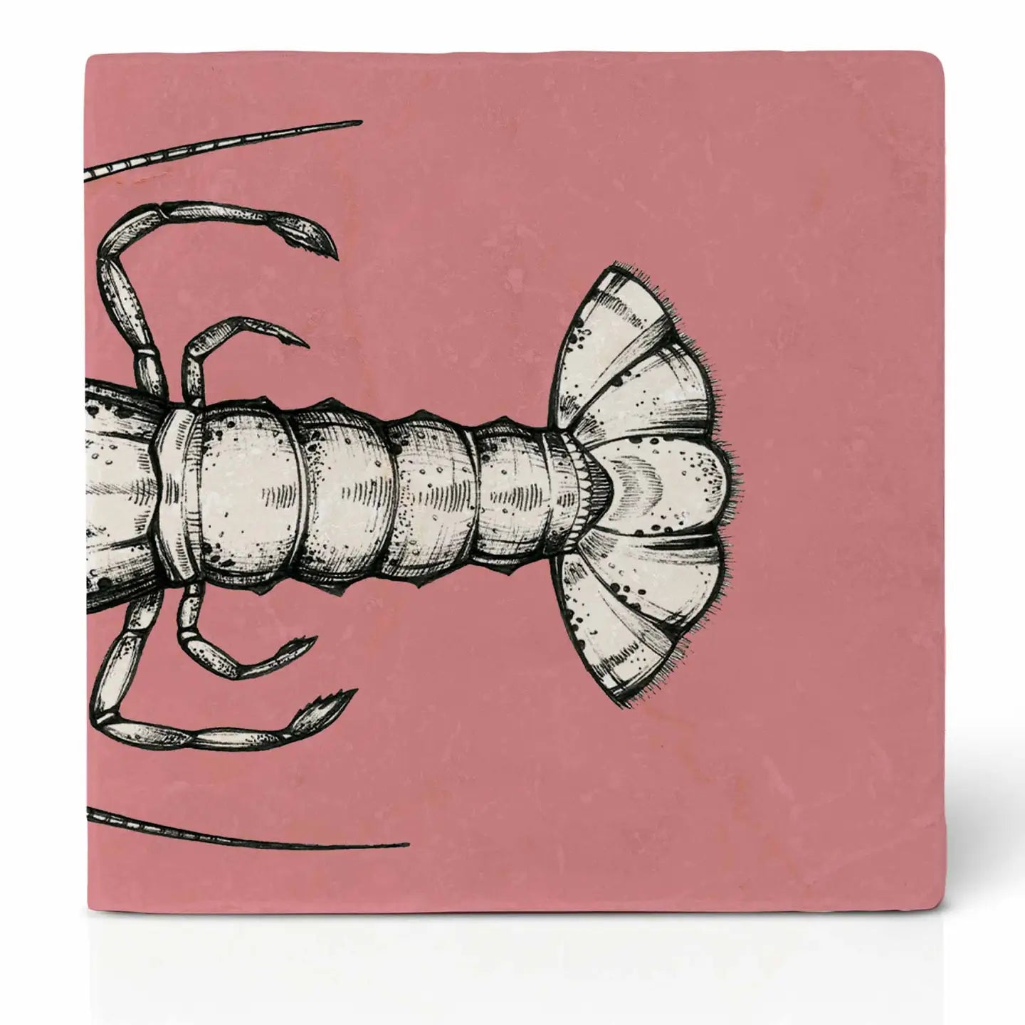 Lobster