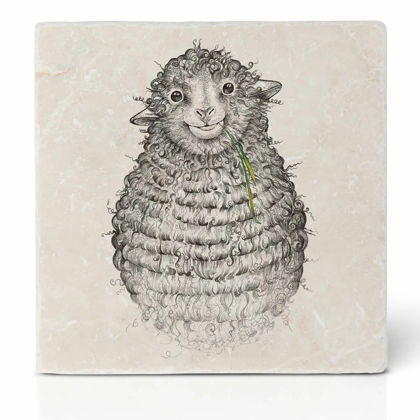 Wollfried Coaster