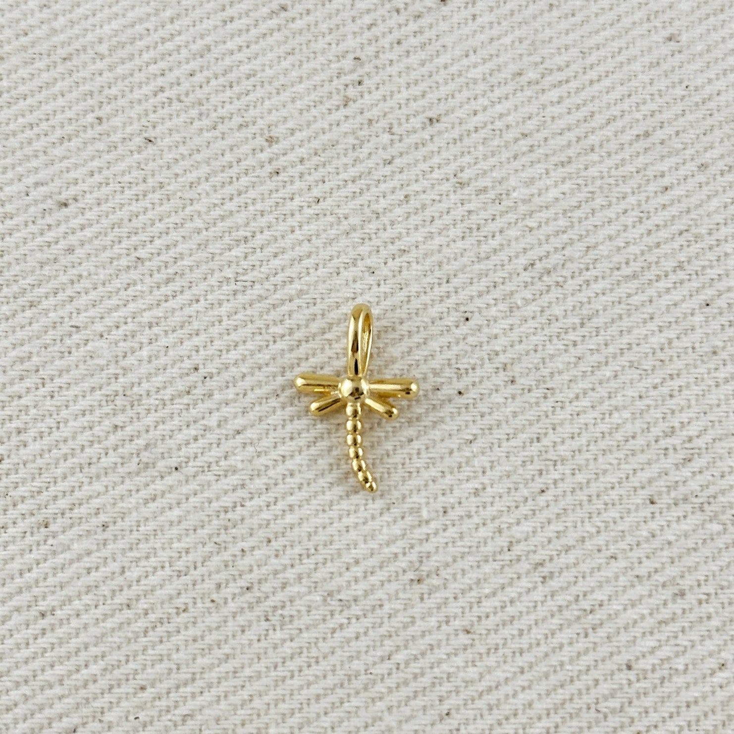 Dragonfly Charm