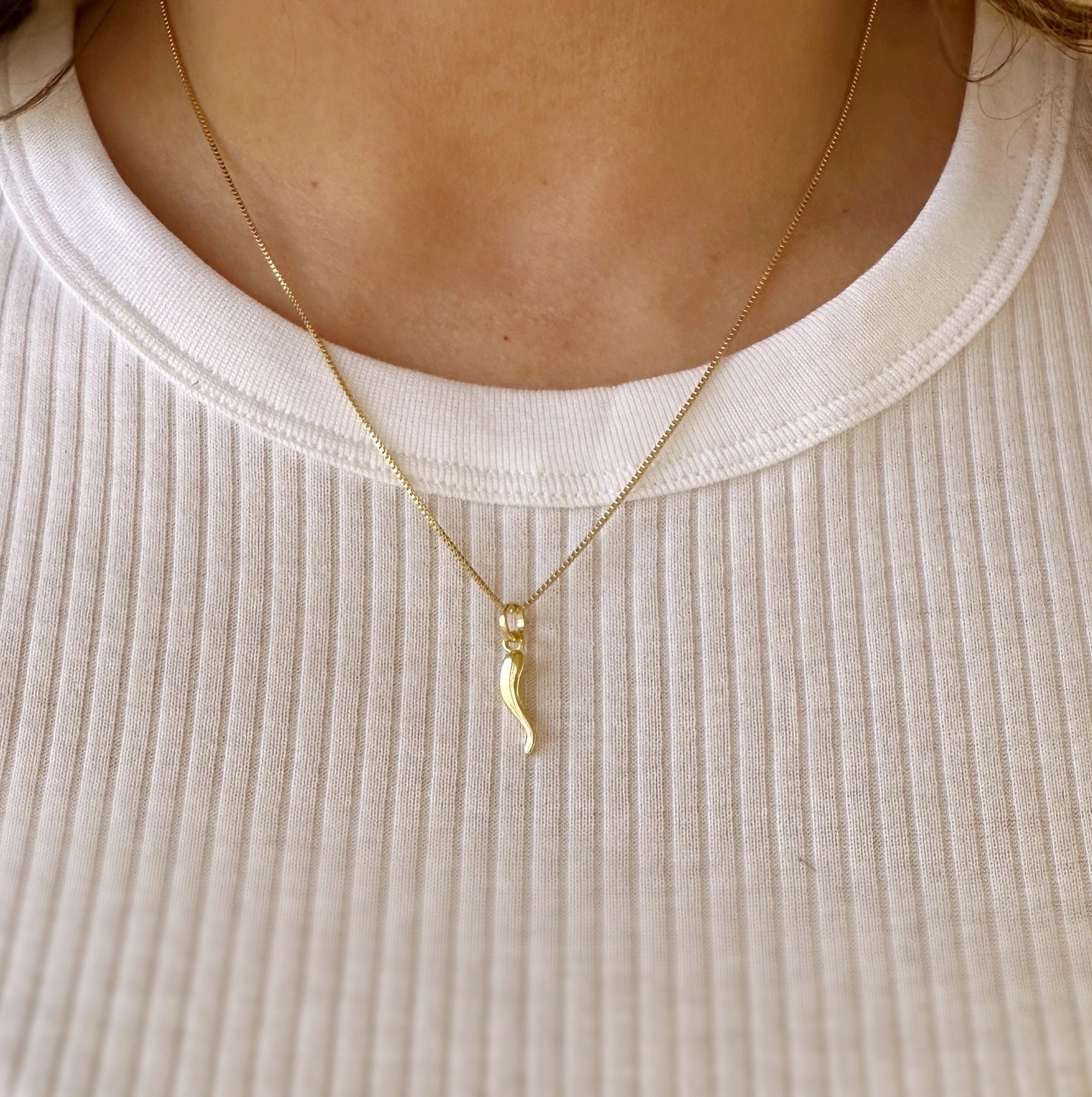 Italian Horn Charm